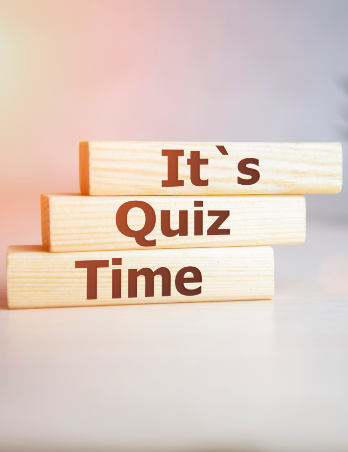 Learn German with Interactive Quizzes